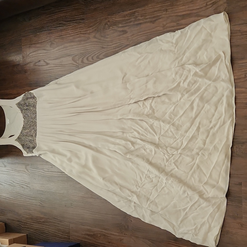 Club Monaco Champagne & Metallic Hand Beaded/Sequin Empire Maxi Dress